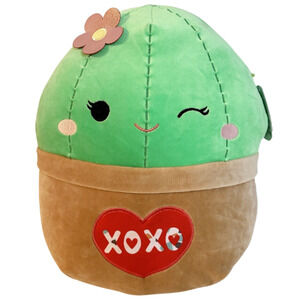 Squishmallows Shadi Cactus 14 in Valentines Plush Toy XOXO Heart NWT